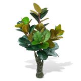 Netten Evime Yapay Ağaç Kauçuk Ağacı Ficus Elastica Salon Çiçeği 150*90 Doğal Gövdeli 61 Yaprak
