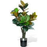 Netten Evime Yapay Ağaç Kauçuk Ağacı Metal Gümüş Kemerli Saksıda Ficus Elastica Salon Çiçeği 150*90 61 Yaprak