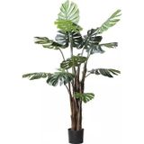Netten Evime Yapay Ağaç Monstera Deve Tabanı Ağacı 170 cm 11 Yaprak