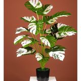Netten Evime Yapay Ağaç Salon Bitkisi Beyaz Monstera 70 cm 18 Yaprak Antrasit Saksıda Deve Tabanı