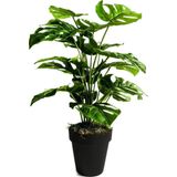 Netten Evime Yapay Ağaç Salon Bitkisi Monstera 60 cm 18 Yaprak Antrasit Saksıda
