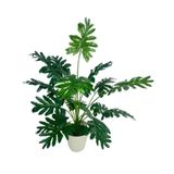 Netten Evime Yapay Ağaç Salon Bitkisi Syngonium 70 cm 18 Yaprak Beyaz Saksıda