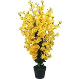 Netten Evime Yapay Ağaç Sarı Bahardalı Ağacı Japon Kiraz Çiçeği Sakura Çiçeği 80x35cm Siyah Plastik Saksılı