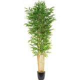 Netten Evime Yapay Bambu Ağacı 210cm Siyah Saksılı 7 dallı