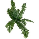 Netten Evime Yapay Çiçek 12 Yaprak Cycas Aşk Merdiveni Eğrelti Otu Sıkas Bitkisi 45*50cm Yapay Bitki