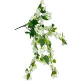 Netten Evime Yapay Çiçek Beyaz Begonvil Çiçeği 8Dallı 70cm Sarkan Çiçek