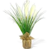 Netten Evime Yapay Çiçek Beyaz Püskül Grass Keten Saksılı Panpas 80*40 cm Saz