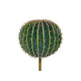 Netten Evime Yapay Çiçek Echinocactus Grusonii Altın Fıçı Kaktüs 35*35cm Cactüs sk4011