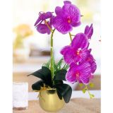 Netten Evime Yapay Çiçek Fuşya Islak Orkide Gold Metal Saksıda Seramik Saksıda Orkide 60 cm