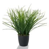 Netten Evime Yapay Çiçek Grass Saz Yapay Bitki Siyah Plastik Saksılı Dekoratif Süs Çiçeği