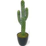 Netten Evime Yapay Çiçek Kaktüs Ağacı 3Kollu Siyah Saksıda 56*15cm sk4019