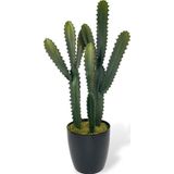 Netten Evime Yapay Çiçek Kaktüs Ağacı 3Köşeli 3Boy Siyah Saksıda 70*30cm sk4020