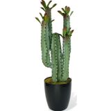 Netten Evime Yapay Çiçek Kaktüs Ağacı 4kollu Kızıl YapraklıSiyah Saksıda 70*22cm 4027