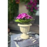 Netten Evime Yapay Çiçek Krem Antik Saksıda Mor Kadife Menekşe Gerçekçi Doku 22cm