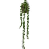 Netten Evime Yapay Çiçek Kütük Saksıda Sarkan String 3 Dallı 55cm Sarkan Çiçek