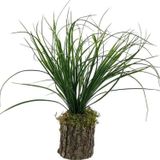 Netten Evime Yapay Çiçek Kütük Saksıda Saz Otu 35cm Dekoratif Masa Çiçeği 40*20cm