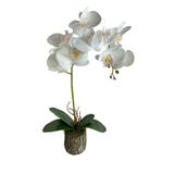 Netten Evime Yapay Çiçek Kütük Saksılı Tekdal Islak Orkide Beyaz 50*30cm