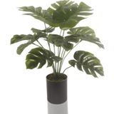 Netten Evime Yapay Çiçek Monstera Deve Tabanı Siyah Saksılı Salon Çiçeği 12 Yaprak