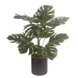 Netten Evime Yapay Çiçek Monstera Deve Tabanı Siyah Saksılı Salon Çiçeği 15 Yaprak