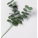 Netten Evime Yapay Çiçek Okaliptus Tek Dal 25cm Yeşil Aradal Garnitür Eucalyptus