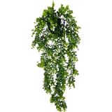 Netten Evime Yapay Çiçek Saksıda Sarkan Şimşir Okaliptus Yapay Sarmaşık 60cm