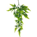 Netten Evime Yapay Çiçek Sarkan Boston Fern 60cm 5Dallı ty124 Yapay Sarmaşık Yeşil