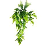 Netten Evime Yapay Çiçek Sarkan Boston Fern Yapraklı Bitki Küçük Siyah Saksıda Yapay Sarmaşık 55cm