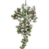 Netten Evime Yapay Çiçek Sarkan Çiçek Bordo Yeşil Fare Kulağı Şimşir Yapay Sarmaşık 60*30 cm UV Katkılı Güneşe Dayanıklı