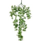 Netten Evime Yapay Çiçek Sarkan Çiçek Yeşil Beyaz Fare Kulağı Şimşir Yapay Sarmaşık 60*30 cm UV Katkılı Güneşe Dayanıklı