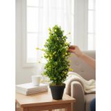 Netten Evime Yapay Çiçek Siyah Saksıda Sarı Lotuslu Yeşil Şimşir Ağacı 70*30cm