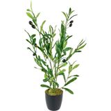 Netten Evime Yapay Çiçek Siyah Saksıda Zeytin Dalı 60cm