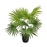 Netten Evime Yapay Çiçek Yelpaze Palmiye 8 Dal 50*40cm Salon Çiçeği Plastik Siyah Saksılı Yapay Bitki