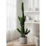 Netten Evime Yapay Kaktüs Euphorbia İngens Şamdan Ağacı Beton Saksıda Yapay Bitki 70cm