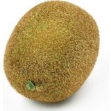 Netten Evime Yapay Meyve Kivi Fake Fruit
