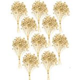 Nettenevime 10Lu Set Kuru Çiçek Doğal Krem Cipso Şoklanmış Bozulmaz