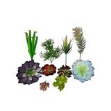nettenevime 10lu Set Yapay Çiçek Kaktüs Sukulent Modelleri 10 Karışık Model Skulent 0202