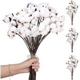 Nettenevime 3lü Set Doğal Pamuk Çiçeği 30 Adet Tekli Dal Kuru Çiçek 30cm Yapay Çiçek Beyaz