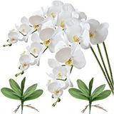 Nettenevime 3lü Set Yapay Çiçek Islak Orkide Ve 2 Adet Orkide Yaprağı Gerçeksi Doku Uzun Dal 90cm Beyaz