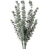 Nettenevime 3lü Set Yapay Çiçek Pastel Yeşil Okaliptus 3dallı Uzun Dal 76cm Eucalyptus