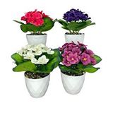 Nettenevime 4lü Set Yapay Çiçek Kadife Menekşe Beyaz Saksıda Gerçekçi Doku Karışık Renkli Mor