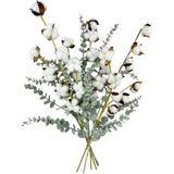 Nettenevime 5li Set Doğal Pamuk Ve Okaliptus Çiçeği Kuru Çiçek Yapay Çiçek 3+2 Mix Beyaz