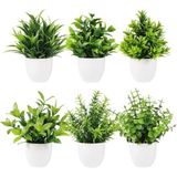 nettenevime 6lı Set Yapay Çiçek Beyaz Saksıda 6 Çeşit Yeşil Bitki