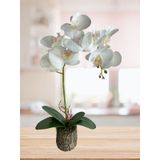 Nettenevime Kütük Saksılı Tekdal Islak Orkide Yapay Çiçek Beyaz 50 x 30 CM