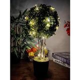 nettenevime Led Işıklı Şimşir Top Yılbaşı Ağacı Tek Toplu 23cmx45cm Siyah Saksılı
