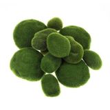 Nettenevime Taş Yosun Teraryum ve Akvaryum Dekoru 10LU Paket