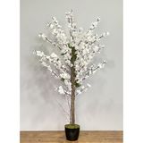 nettenevime Yapay Ağaç Bahardalı Ağacı Beyaz Japon Kiraz Çiçeği Sakura Çiçeği 127x70cm Siyah Plastik Saksılı
