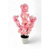 Nettenevime Yapay Ağaç Bahardalı Ağacı Pembe Japon Kiraz Çiçeği Sakura Çiçeği 70cm Beyaz Plastik Saksılı