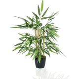 nettenevime Yapay Ağaç Bambu Ağacı 4 Gövdeli 50X35 Siyah Plastik Saksılı