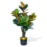 nettenevime Yapay Ağaç Kauçuk Ağacı Metal Gold Kemerli Saksıda Ficus Elastica Salon Çiçeği 150*90 61 Yaprak