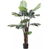 Nettenevime Yapay Ağaç Monstera Deve Tabanı Ağacı 170 cm 11 Yaprak - Yeşil